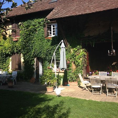 La Rolandière Faverges-de-la-Tour Extérieur photo